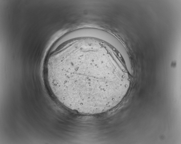 X0000116390104201001131838