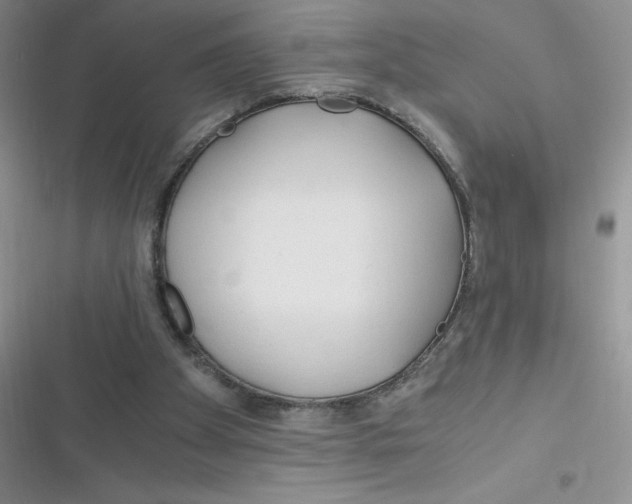 X0000116390105201001131838