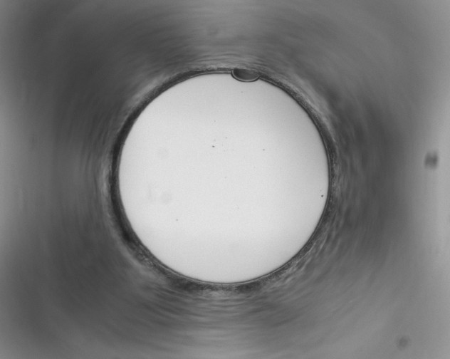 X0000116390107201001131838