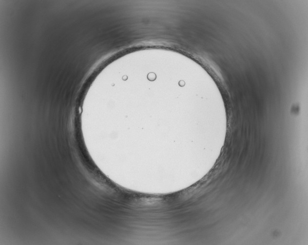 X0000116390108201001131838