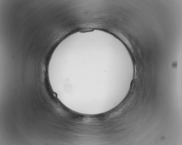 X0000116390109201001131838