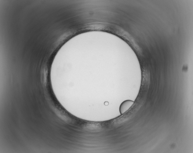 X0000116390110201001131838