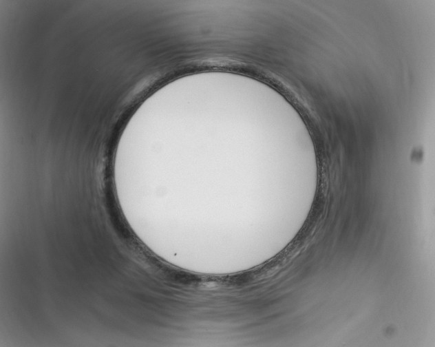 X0000116390111201001131838