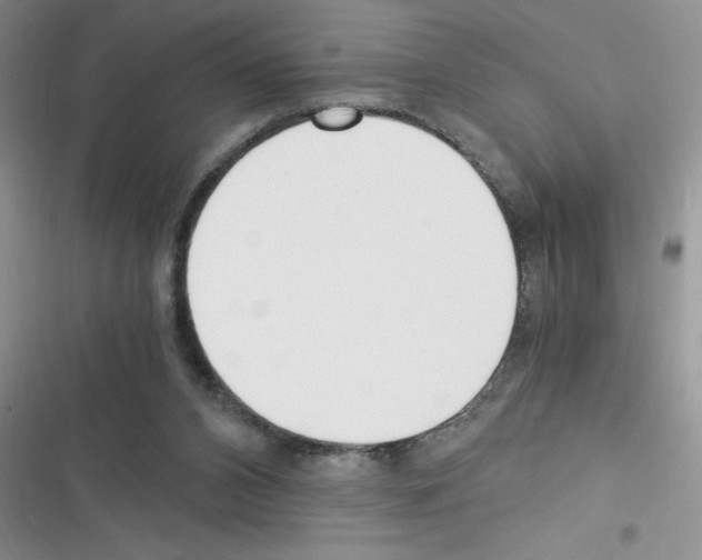 X0000116390112201001131838