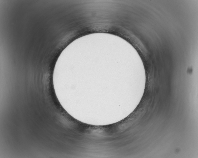 X0000116390113201001131838