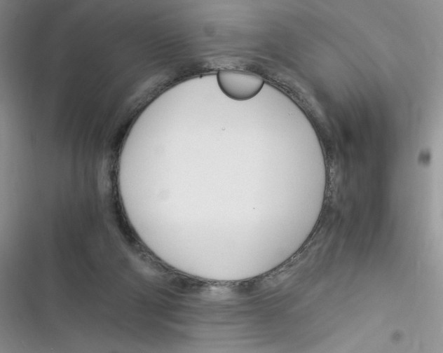 X0000116390114201001131838