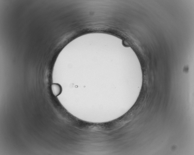 X0000116390115201001131838