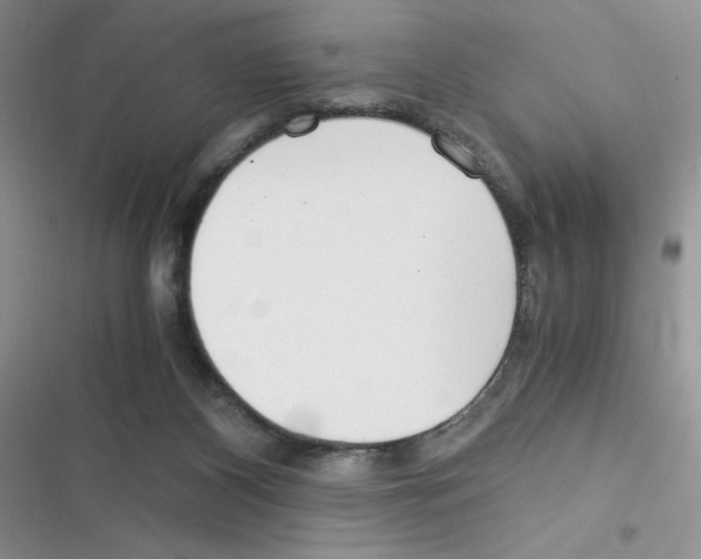 X0000116390116201001131838