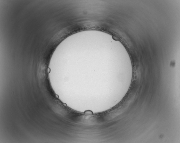 X0000116390117201001131838