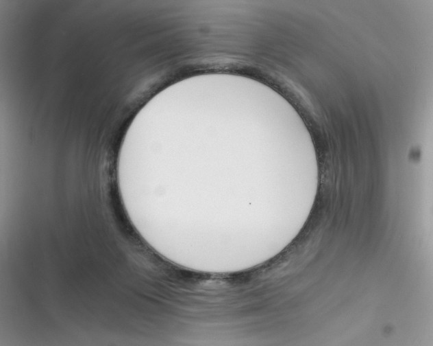 X0000116390119201001131838