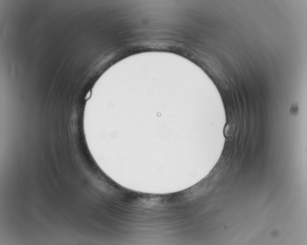 X0000116390120201001131838