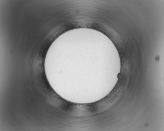 X0000116390121201001131838