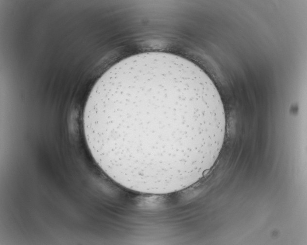 X0000116390122201001131838