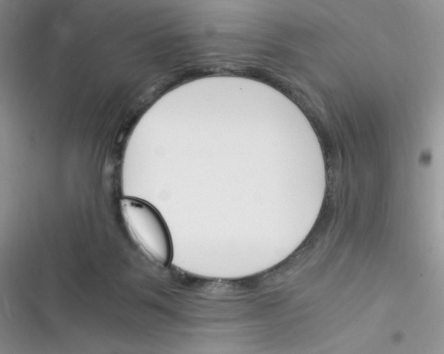 X0000116390123201001131838