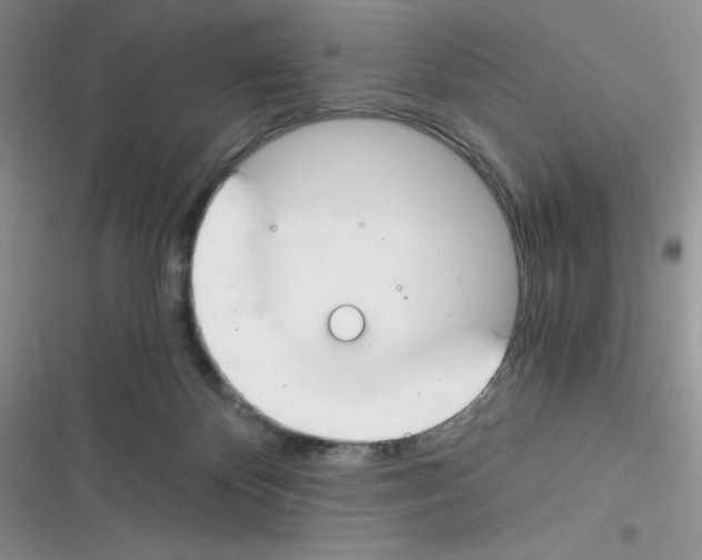 X0000116390124201001131838