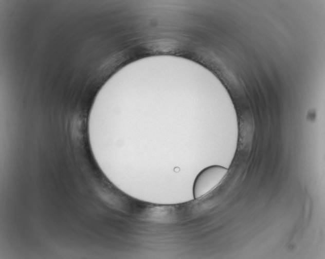 X0000116390126201001131838