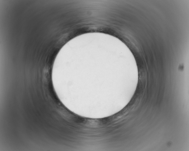 X0000116390127201001131838