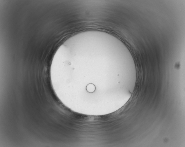 X0000116390128201001131838
