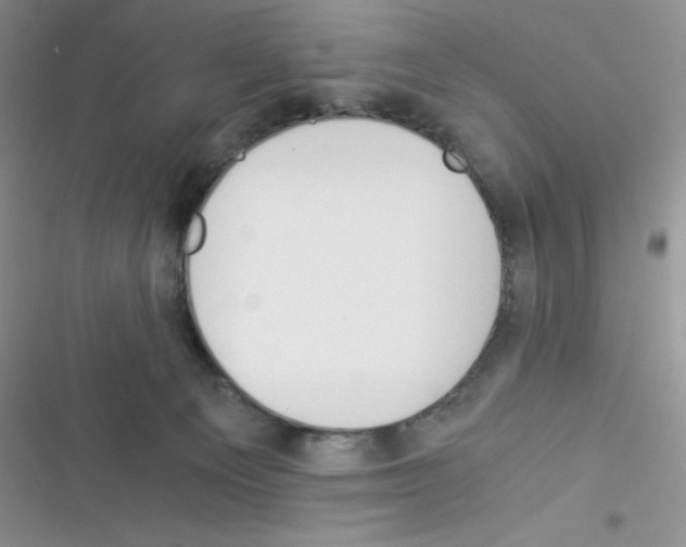 X0000116390129201001131838