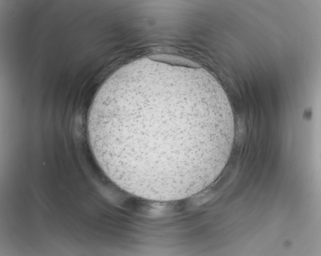 X0000116390130201001131838