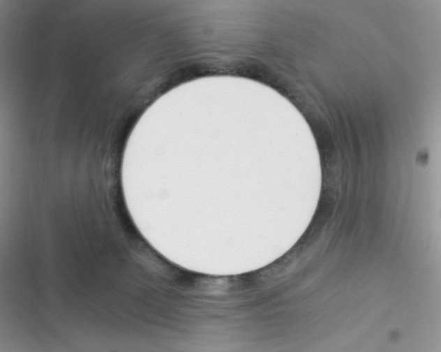 X0000116390131201001131838