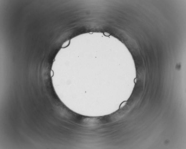 X0000116390133201001131838