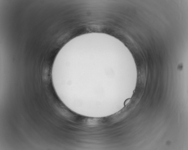 X0000116390134201001131838
