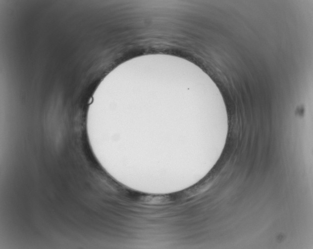 X0000116390135201001131838
