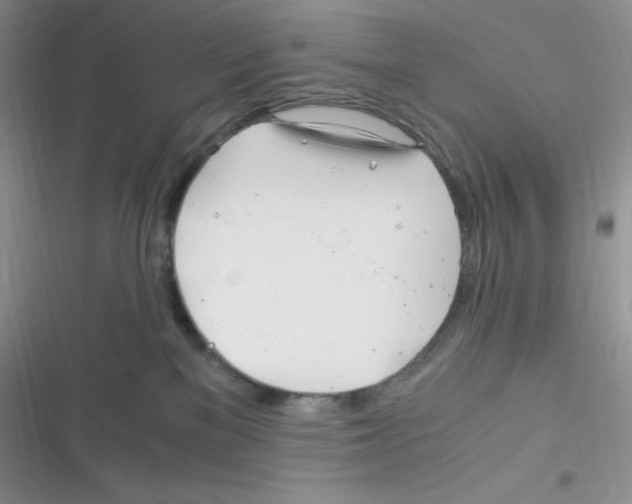 X0000116390137201001131838