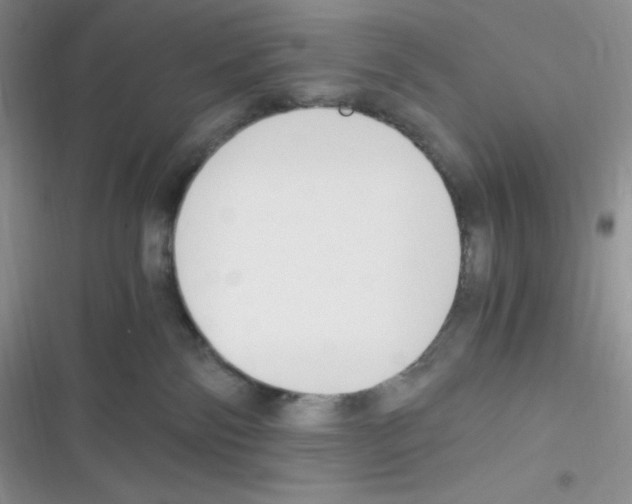 X0000116390138201001131838