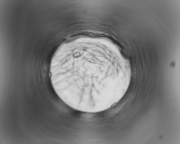 X0000116390139201001131838