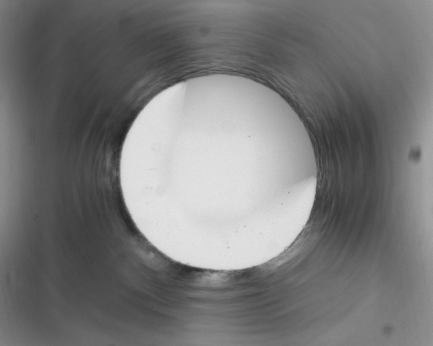 X0000116390140201001131838
