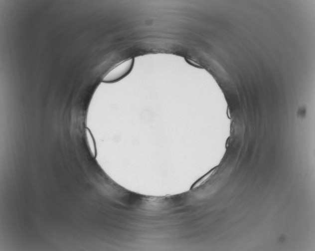 X0000116390141201001131838