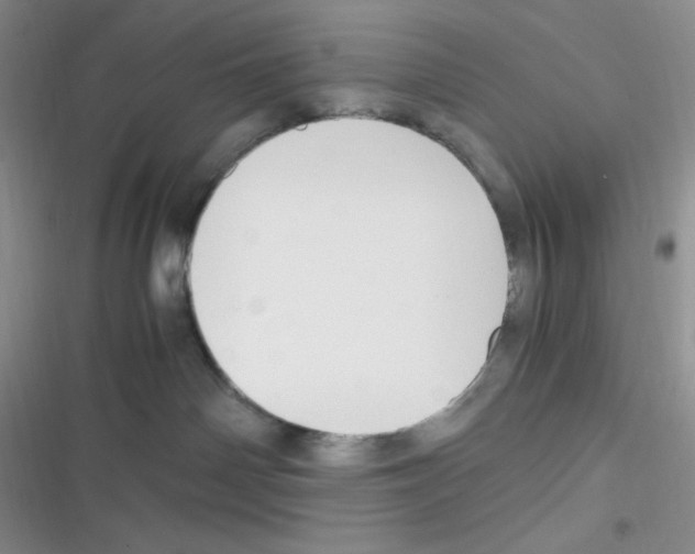 X0000116390142201001131838