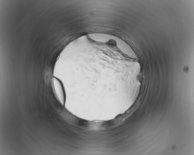 X0000116390143201001131837