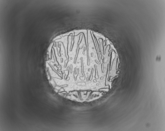 X0000116390144201001131837