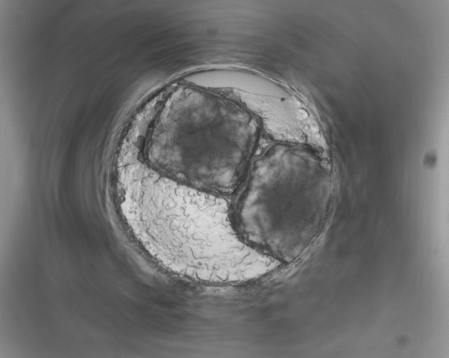X0000116390145201001131837