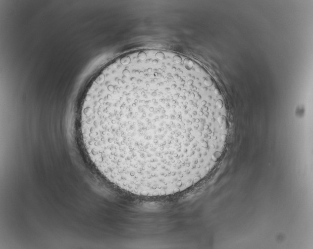 X0000116390149201001131837