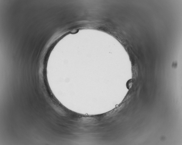 X0000116390150201001131837