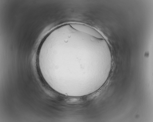 X0000116390151201001131837