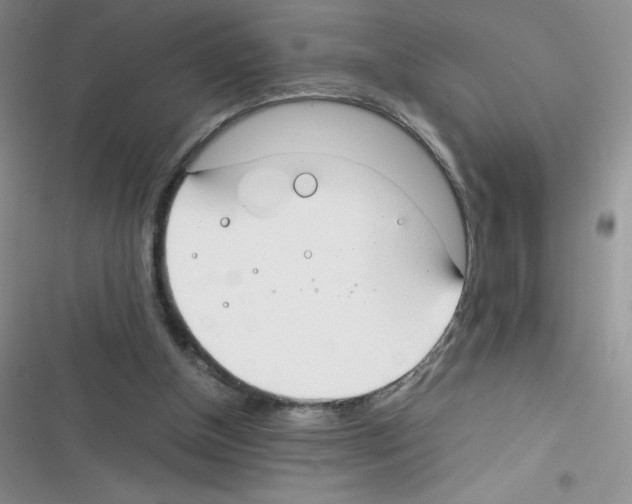 X0000116390154201001131837