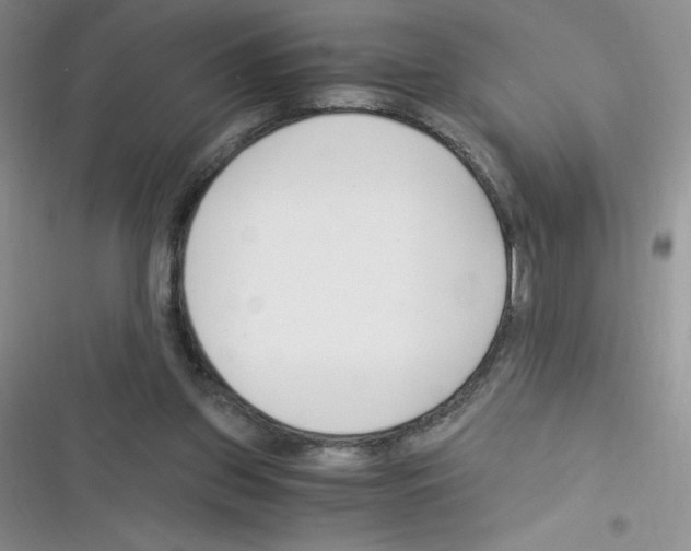 X0000116390157201001131837