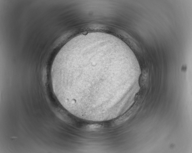 X0000116390158201001131837