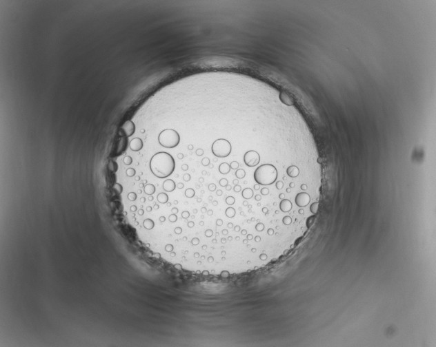 X0000116390159201001131837