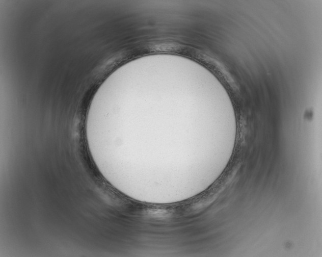 X0000116390161201001131837