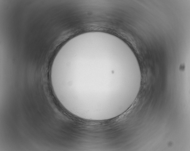 X0000116390162201001131837