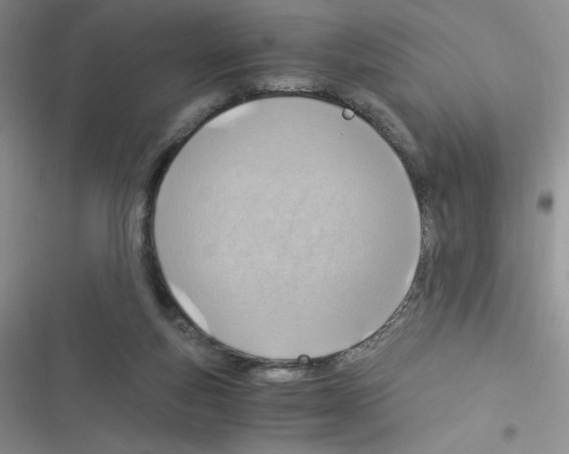 X0000116390163201001131837