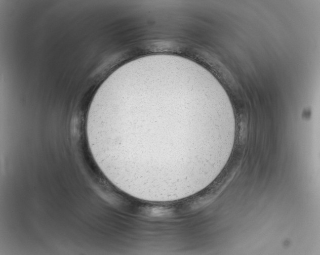 X0000116390165201001131837