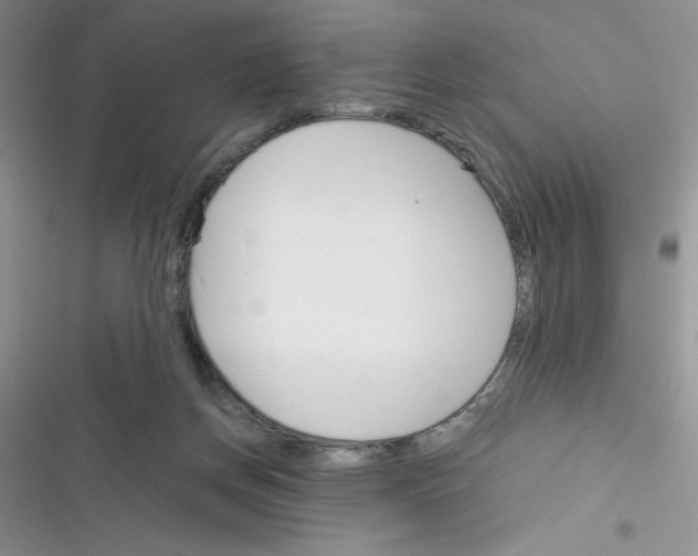 X0000116390166201001131837