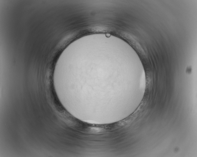X0000116390167201001131837